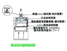 包含东契奇至今英超出牌最多结果意外的词条