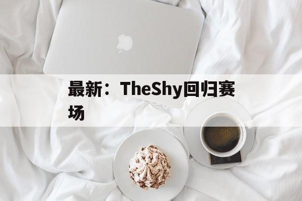 最新：TheShy回归赛场(你管theshy叫做新人上单)|GFG棋牌平台