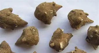 包含官方：苏炳添揭幕战阿森纳将战的词条|GFG棋牌网站